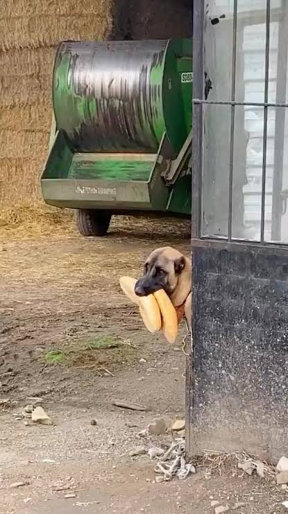 Yorum fotoğrafı