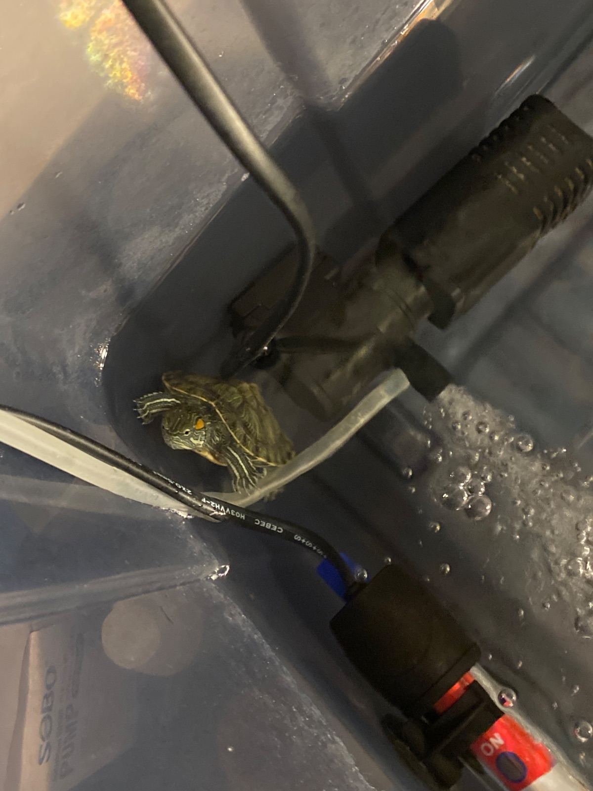 Gönderi fotoğrafı